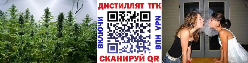сколько стоит  Сольцы  ТГК Wax 
