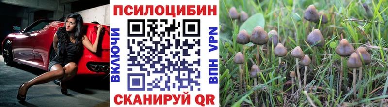Псилоцибиновые грибы Psilocybe  купить   blacksprut сайт  Сольцы 